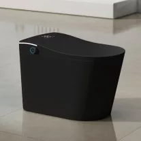 T9013 Okos Padlón Álló WC, fekete