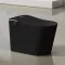 T9013 Okos Padlón Álló WC, fekete