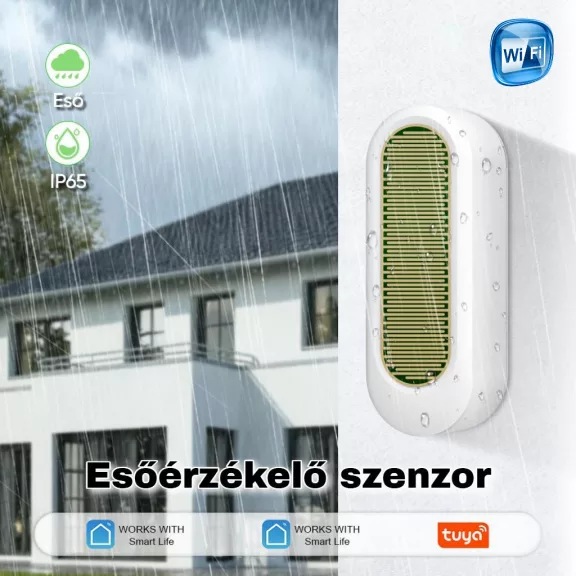 Esőérzékelő