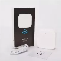 G2 WiFi TTLock átjáró