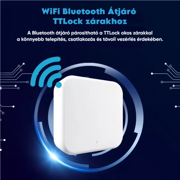 G3 LAN TTLock átjáró