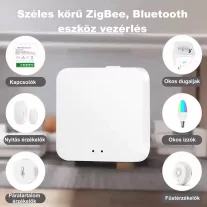 ZigBee és Bluetooth átjáró, WiFi